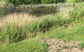 Naturnahes Gästezimmer mit Küche in Ostseenähe